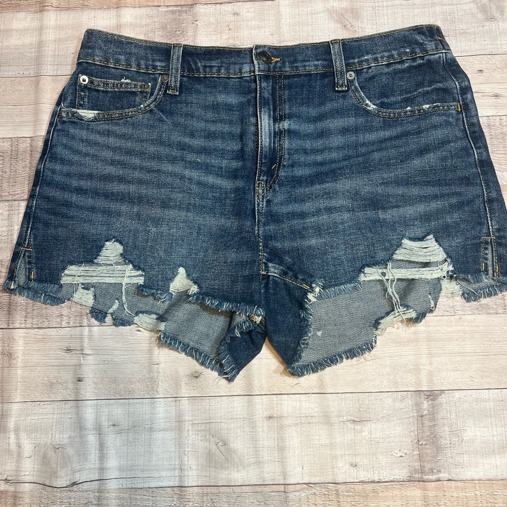 NWT Aerie Womens Daydream Denim Short Sz L. T0268 boho